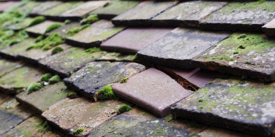 Boughton roof repair costs